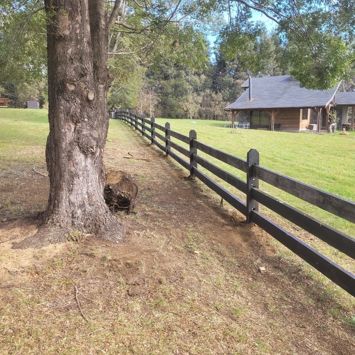 Cerco tipo tranquera en parcela de Pucón, junto a un árbol nativo